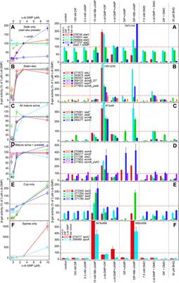 Novel RNAseq-Informed Cell-type Markers and Their Regulation Alter Paradigms of Dictyostelium Developmental Control